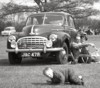 thomas/images/Gordon_David_Thomas_1921_Cars_in19xx_Morris_Oxford_MO